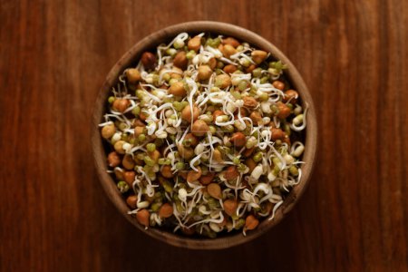 Close-up of Eine Mischung aus organischen Sprossen Samen sprießt (keimt) Schale enthält Mandeln, Erdnüsse, schwarzes Gramm, Wheet, Bockshornklee und Mungbohnen, in Schüssel im Studio
