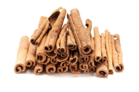 Top view of Raw Organic Cinnamon sticks (Cinnamomum verum) bundle tied up with turmeric colored  thread.