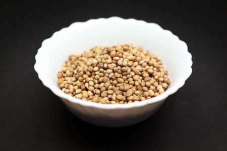 Organic Dried coriander seeds (Coriandrum sativum) in white ceramic bowl on dark background.
