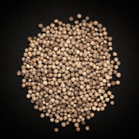 Photo for Top view of Organic White Pepper (Piper nigrum) isolated on dark background. - Royalty Free Image