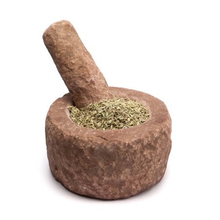 Organic Fennel seed (Foeniculum Vulgare) in mortar with pestle, isolated on white background.