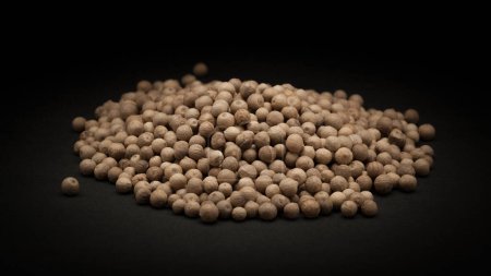 Photo for Pile of Organic White Pepper (Piper nigrum) on dark background. - Royalty Free Image