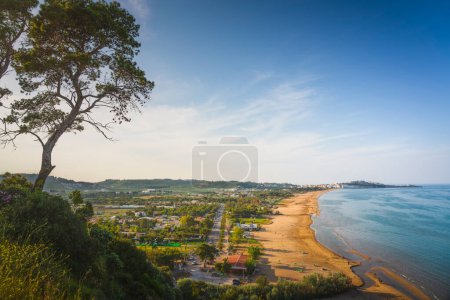 Photo for Vieste and Pizzomunno beach and a tree, Gargano peninsula, Puglia or Apulia region, Italy, Europe. - Royalty Free Image