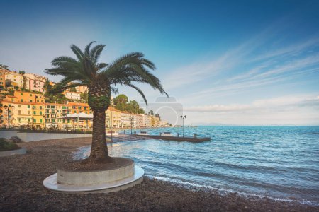 Foto de Una palmera en la playa frente al mar de Porto Santo Stefano. Monte Argentario, región Toscana, Italia - Imagen libre de derechos