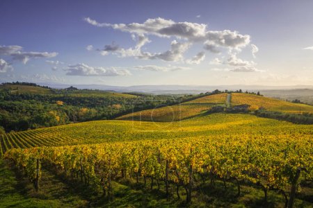 Gaiole in Chianti vineyard and panorama at sunset in autumn. Tuscany, Italy Europe.