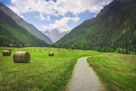 Mountain path in Prati di Sant'Orso. Round bales on the left and the Gran Paradiso massif in the background. Cogne, Aosta Valley, Italy