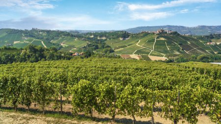 Weinbaulandschaft der Langhe und Dorf Castiglione Falletto auf dem Gipfel des Hügels, UNESCO-Weltkulturerbe, Piemont, Italien, Europa.