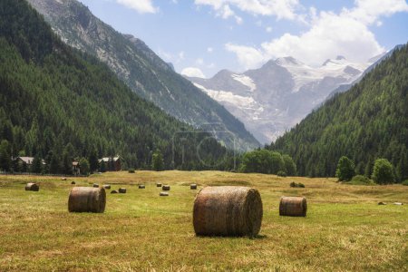 Foto de Bales redondos en Prati di Sant 'Orso y la montaña Gran Paradiso en el fondo. Cogne, región del Valle de Aosta, Italia - Imagen libre de derechos