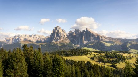 Téléchargez les photos : Alpe di Siusi ou Seiser Alm, Dolomites dans les Alpes italiennes, montagnes Sassolungo et Sassopiatto, Tyrol du Sud, Italie, Europe - en image libre de droit