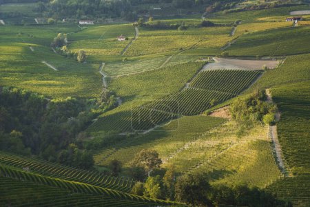 Téléchargez les photos : Paysage des vignobles Langhe, Barolo et La Morra, Site de l'Unesco, Piémont, Italie du Nord Europe. - en image libre de droit