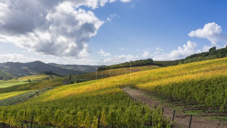 Foto de Radda in Chianti landscape, vineyards in autumn. Tuscany region, Italy Europe. - Imagen libre de derechos