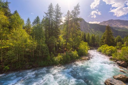 Un ruisseau dans le paysage de montagne d'été en Cogne, Alpes italiennes. Val d'Aoste, Italie