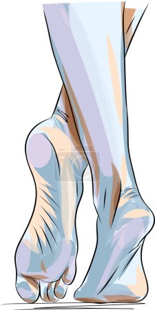 Ilustración de Hermosos pies femeninos. Ilustración vectorial dibujada a mano de pies humanos realistas. Pie sano. - Imagen libre de derechos