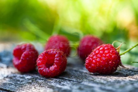 Photo for Juicy, just harvested raspberries arranged on a weathered, vintage wooden tabletop. Ripe red raspberry berries, lie on a wooden background. Selective focus - Royalty Free Image