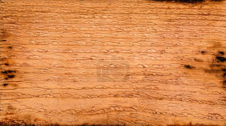 Foto de Lado áspero de una baldosa de madera de cedro salmón usado con espacio para copiar espacio. Imagen macro de un tablón de cedro textura y fondo. - Imagen libre de derechos