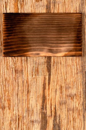 Foto de Baldosa de madera de cedro salmón con espacio para espacio de copia. Imagen macro de un tablón de cedro textura y fondo. - Imagen libre de derechos