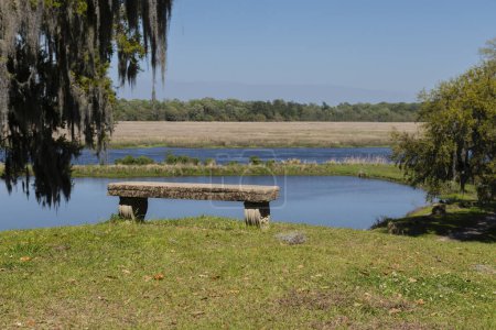 Eine isolierte Steinbank inmitten der ruhigen Umgebung der Middleton Place Plantage in South Carolina, die das Konzept der Gelassenheit verkörpert.