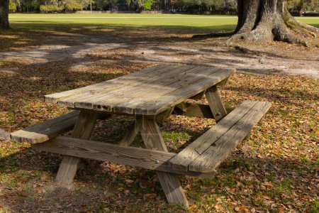 A picnic table nestled within the landscape of Middleton Place plantation in South Carolina. Roots of a large oak tree in the background.