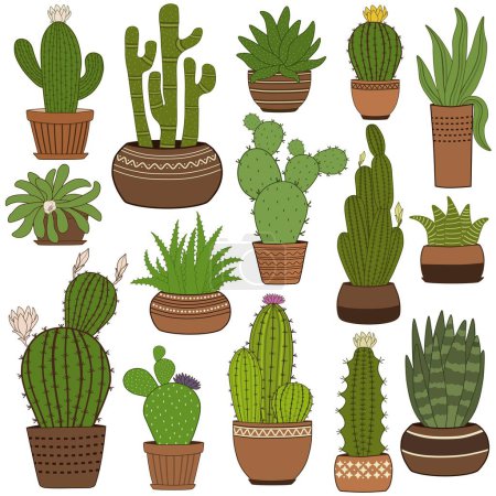 Foto de Lindo patrón con planta de cactus en macetas sobre fondo blanco - Imagen libre de derechos