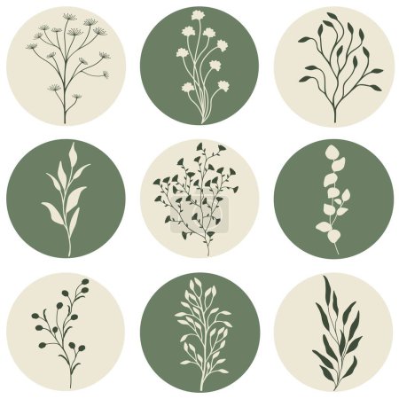 Foto de Ilustración vectorial con conjunto de plantas silvestres - Imagen libre de derechos