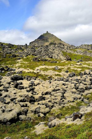 Téléchargez les photos : Champ de lave et végétation sous la montagne volcanique - en image libre de droit