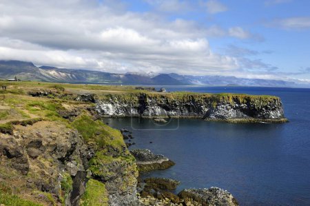 Téléchargez les photos : Mouettes nichant sur les falaises du volcan islandais - en image libre de droit