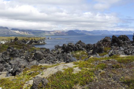 Téléchargez les photos : Lumière du soleil sur la côte volcanique islandaise - en image libre de droit