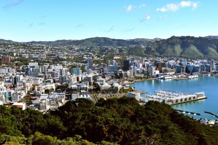 Die Stadt Wellington, Neuseeland vom Mount Victoria aus gesehen