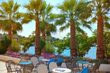 Téléchargez les photos : Sunny view of caffe , Coconut palm trees by the Adriatic Sea  , Porec location on Istrian Peninsula in western Croatia.Traveling concept background - en image libre de droit