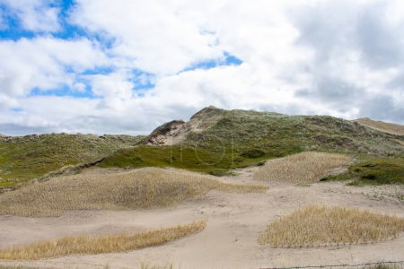 Grasbewachsene Dünen und Sanddünen mit leicht bewölktem, blauem Himmel im Naturschutzgebiet Noordholland im Molecaten Park Noordduinen