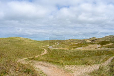 Vista sobre dunas de arena, hierbas y senderos en tiempo soleado con un cielo ligeramente nublado en la reserva natural de Noordholland en Molecaten Park Noordduinen