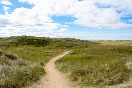 Wanderweg durch Dünen und Gräser bei sonnigem Wetter mit leicht bewölktem Himmel im Naturschutzgebiet Noordholland im Molecaten Park Noordduinen
