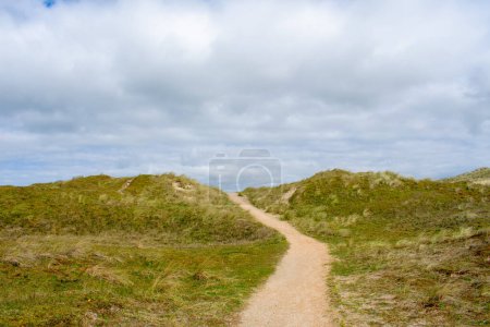 Small path between the dunes that goes uphill in sunny weather with a cloudy sky in the Noordholland nature reserve in Molecaten Park Noordduinen