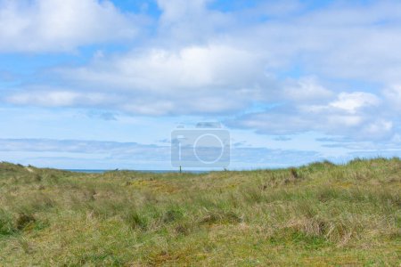 Grassy dunes with a slightly cloudy, blue sky in the Noordholland nature reserve in Molecaten Park Noordduinen