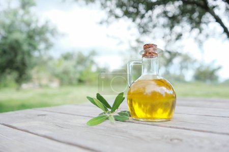 Foto de Botella de aceite de oliva virgen extra sobre una mesa de madera en un Olive Garden. Albania - Imagen libre de derechos