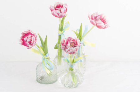 Téléchargez les photos : Tulipan , flor , rosa  blanco , buquet jardin pl antar  naturaleza - en image libre de droit