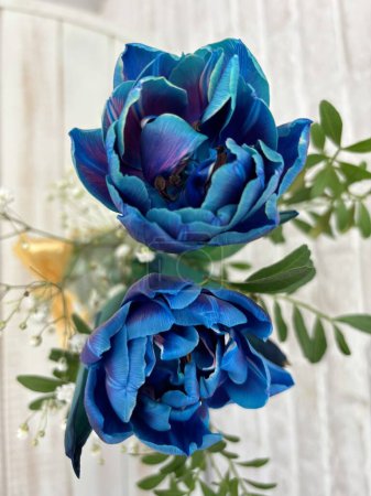 Foto de Tulipan, azul, colorines, ramo, celebracion, petalos, rama - Imagen libre de derechos