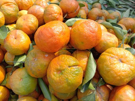Téléchargez les photos : Savoureux et sain bouillon d'orange sur le magasin à vendre - en image libre de droit
