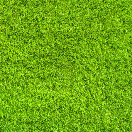 Téléchargez les photos : Texture herbe fraîche verte - en image libre de droit