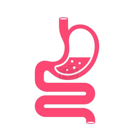 Ilustración de Estómago humano y sistema gastrointestinal - Imagen libre de derechos