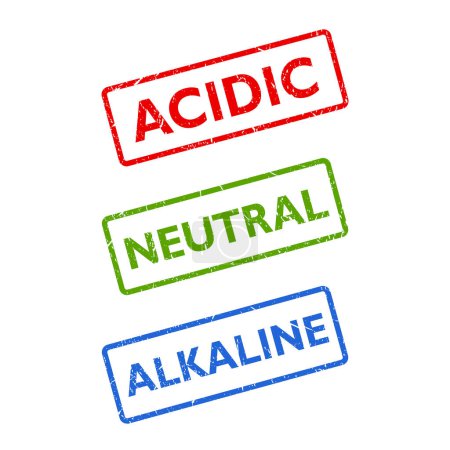 Conjunto de sello de vector de equilibrio pH alcalino neutro ácido