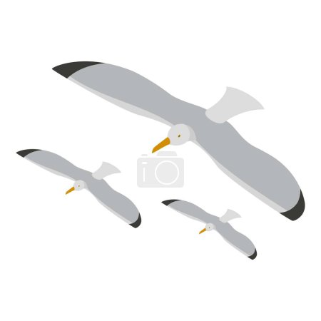 Ilustración de Icono de gaviota vector isométrico. Tres volando hermoso icono de la gaviota gris. Aves marinas, gaviotas, lechuzas, larus, gaviotas - Imagen libre de derechos