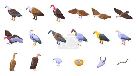 Téléchargez les illustrations : Icônes de vautour ensemble vecteur isométrique. Animal d'oiseau. Afrique proie - en licence libre de droit