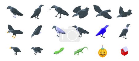 Iconos de cuervo establecen vector isométrico. Aves animales. Pluma oscura