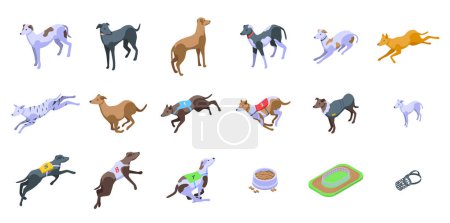 Illustration for Greyhound icons set isometric vector. Whippet animal. Breed canine - Royalty Free Image