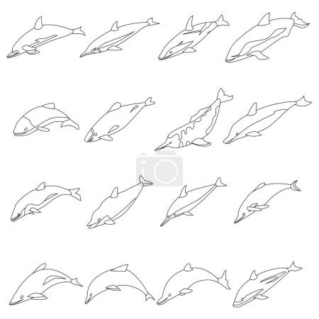 Téléchargez les illustrations : Ensemble d'icônes de dauphins. Ensemble isométrique d'icônes vectorielles de dauphins contour mince lne isolé sur blanc - en licence libre de droit