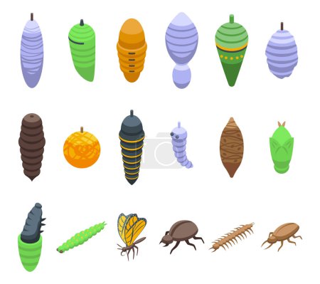 Illustration for Cocoon icons set isometric vector. Animal pupa. Larva life - Royalty Free Image