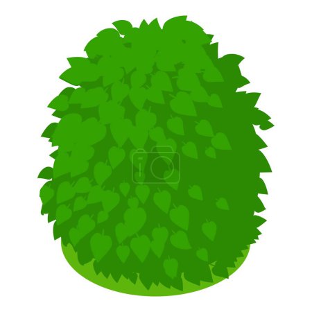 Illustration for Green bush icon isometric vector. Natural green decorative shaped shrub icon. Gardening, landscaping element - Royalty Free Image