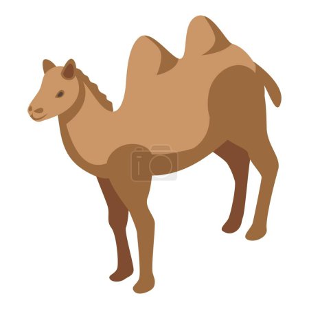 Illustration for Bedouin camel icon isometric vector. Desert camp. Arab islamic - Royalty Free Image