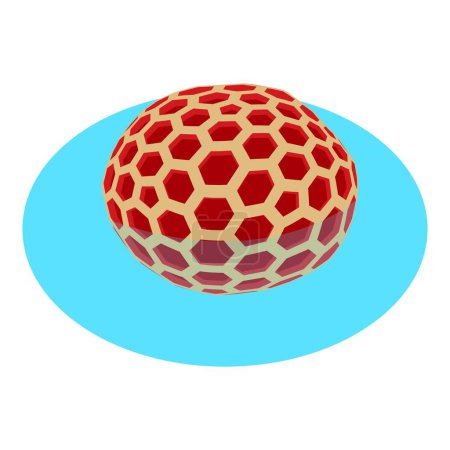 Téléchargez les illustrations : Icône ronde corail vecteur isométrique. Corail exotique rouge rond dans l'icône de l'eau de mer. Monde sous-marin, invertébrés - en licence libre de droit